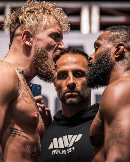 拳坛最新爆料,最新爆料揭秘幕后真相